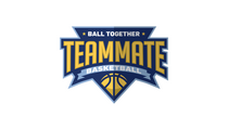Teammate Basketball
