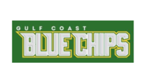Gulf Coast Blue Chips