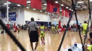 Hornets puts down Heat with the 64-44 victory