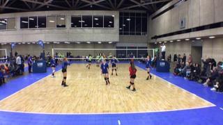 Knockout 14 Sapphire (LS) defeats Starlings 14 Black (NT), 2-0